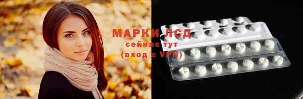 крисы Аркадак