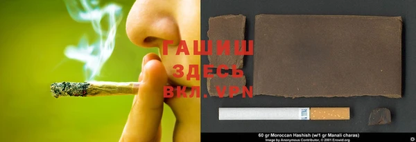 стаф Арсеньев