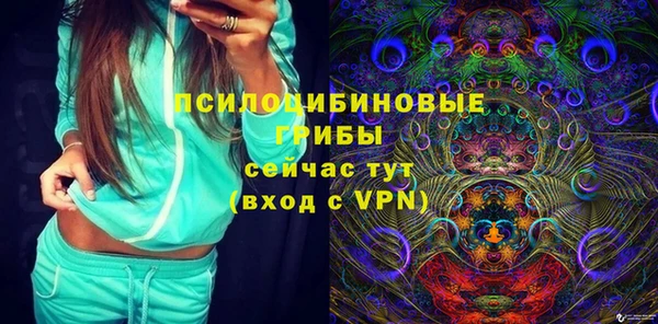 стаф Арсеньев