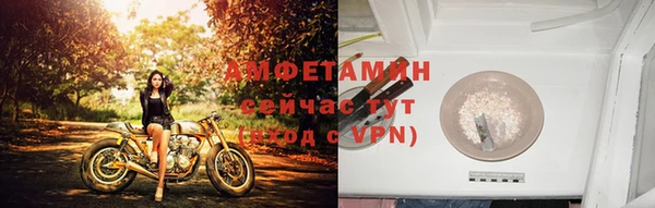 стаф Арсеньев