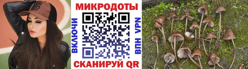 Псилоцибиновые грибы GOLDEN TEACHER Белоусово