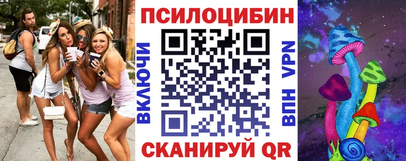 Купить где  Белоусово  Галлюциногенные грибы Psilocybine cubensis 